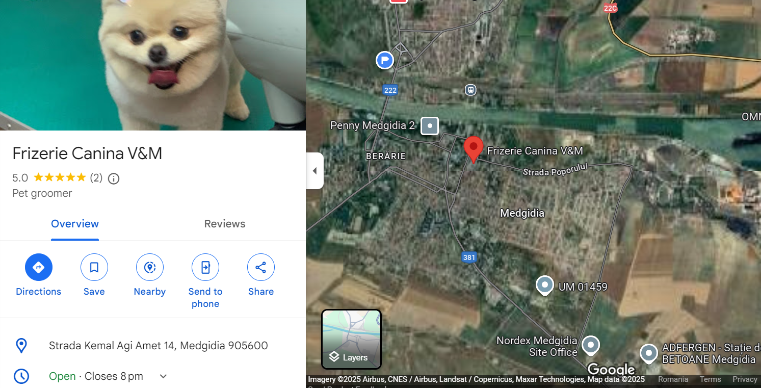 google maps frizerie canina v&m